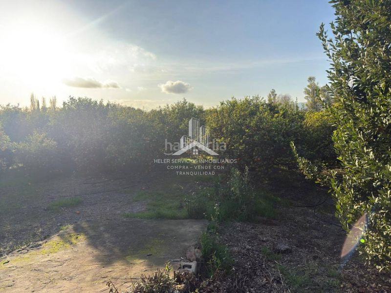 Foto 8a461880-54b8-40a8-8e84-47d0e211f206. Finca rústica a El Grao Castellón de la Plana