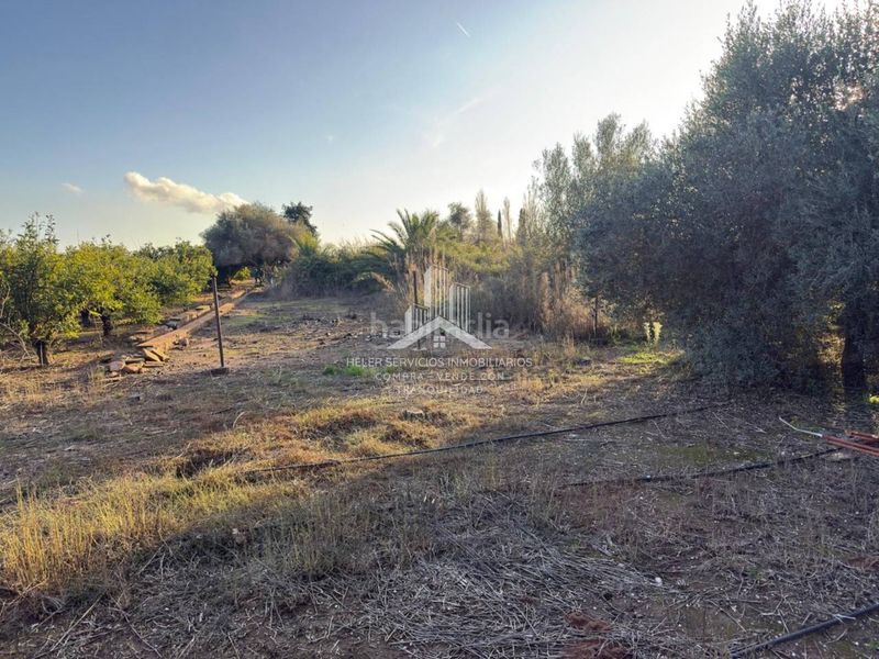 Foto c504c9cb-adfa-474d-bec7-78bbba3293b7. Finca rústica a El Grao Castellón de la Plana