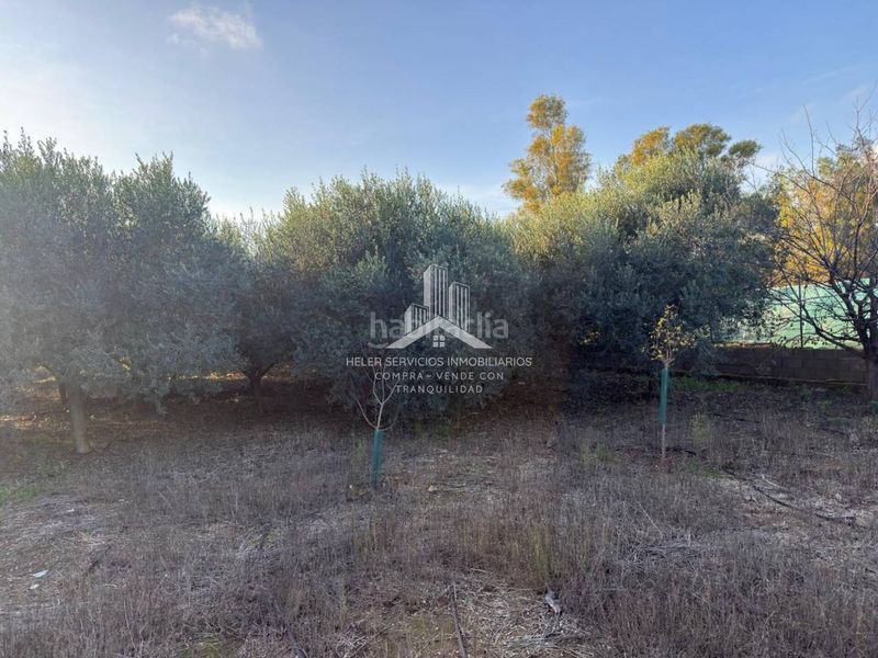 Foto c602f806-e0e9-46b8-bebd-77ca17108c77. Finca rústica a El Grao Castellón de la Plana