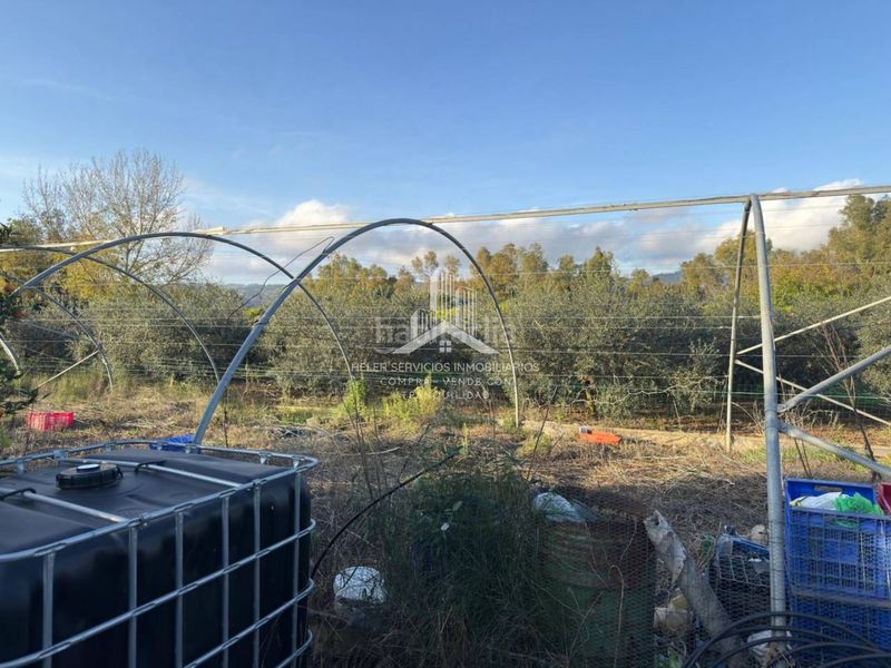 Foto c8448392-1a6d-4ea7-a389-c76219ba00f0. Finca rústica a El Grao Castellón de la Plana