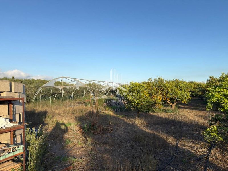 Foto d7bc9ca5-79e7-4c92-b1db-5901d2368a10. Finca rústica a El Grao Castellón de la Plana