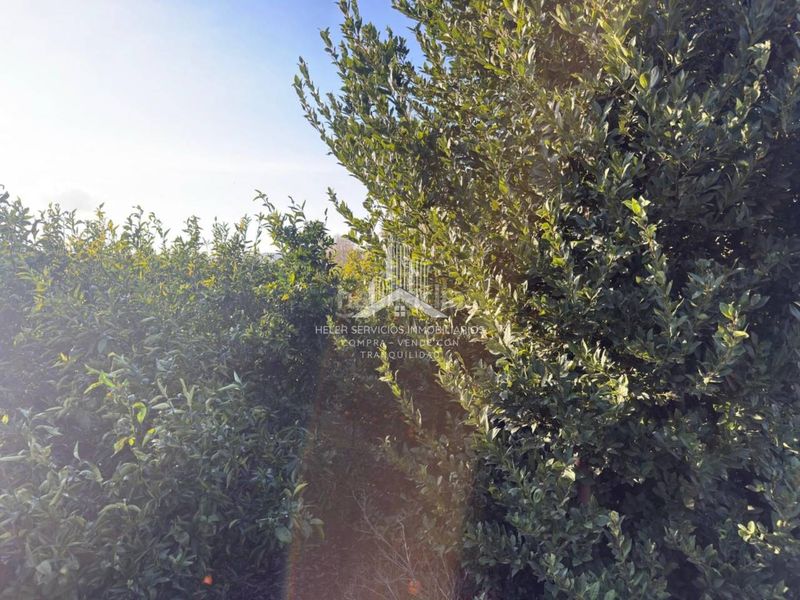 Foto d7eb2db8-ecff-4247-9304-fff55041cda2. Finca rústica a El Grao Castellón de la Plana