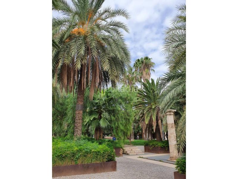 Foto 74a26050-0ded-43b9-a79b-0fd3717eb46c. Appartamento con riscaldamento parcheggio in Sant Francesc Valencia