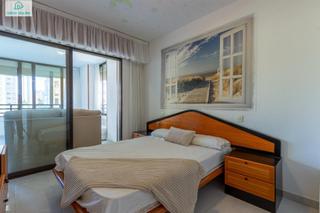 Lloguer Apartament a Belgica 5. Benidorm ,sitio muy tranquilo con piscina y parking ideal turism