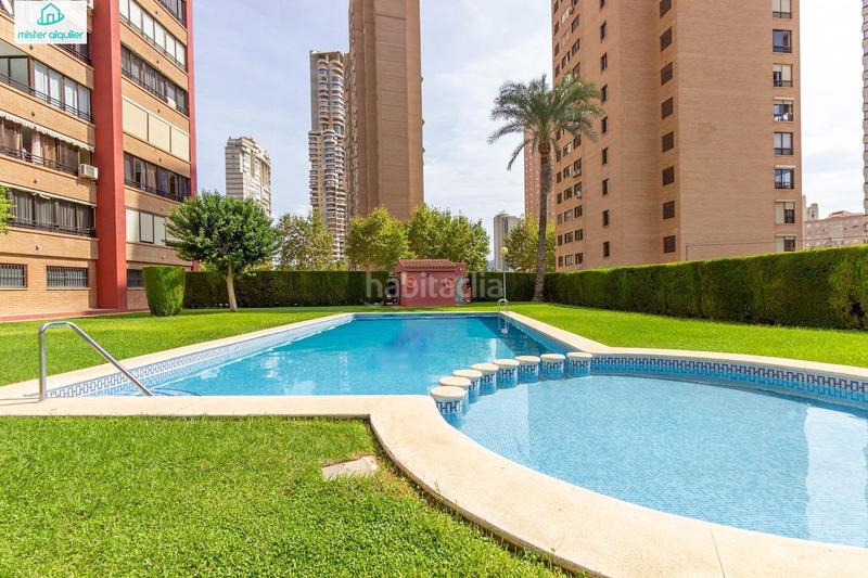Foto fbc25b91-5291-489a-8640-8bcee6131755. Affitto piccolo appartamento in avenida belgica 5 in Benidorm
