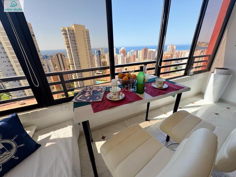 Foto 30106244-4090-4987-a949-1ac13becb458. Rent apartment in avenida belgica 5 in Juzgados - Plaza de Toros Benidorm