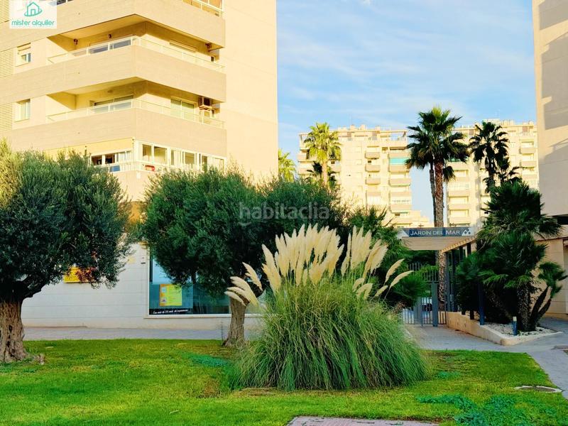 Foto 57cf6362-98be-4744-bcb9-8927ddfd4f46. Rent apartment in jaume i el conqueridor 3 in Playa Muchavista Campello (el)