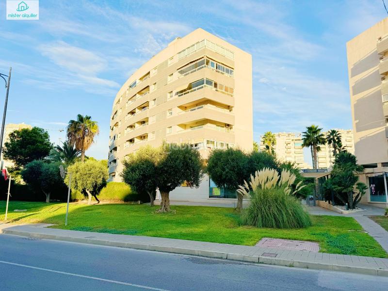 Foto d73db413-5640-4f84-807b-d7a24ee8b531. Affitto piccolo appartamento in jaume i el conqueridor 3 in Campello (el)