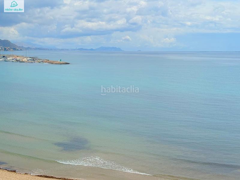 Foto 60f14613-8161-44a2-ace8-ab6b3bbb13c4. Affitto piccolo appartamento in sant vicent 78 in Campello (el)