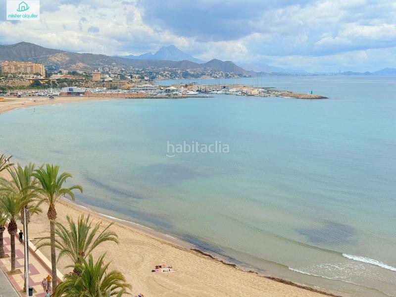 Foto cd11ac98-8fe8-4223-9202-13dc0afcf5bf. Affitto piccolo appartamento in sant vicent 78 in Campello (el)