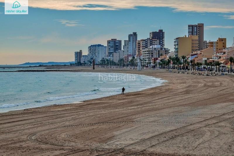 Foto 4cba3421-4c53-4099-beec-68efce847594. Rent apartment in calle sant bartolomeu 128 in Campello Playa Campello (el)