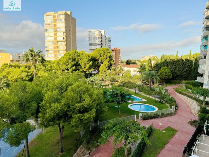 Foto d37832a4-5584-4f95-abbe-610e7181150c. Alquiler apartamento en jaume i el conqueridor 3 en Campello (el)