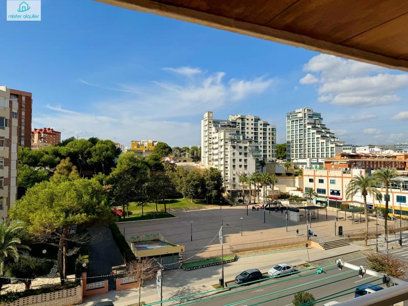Foto 6870fba7-abc7-49ab-91c2-c183fa68142f. Alquiler apartamento en sant bartolomeu 26 en Campello Playa Campello (el)