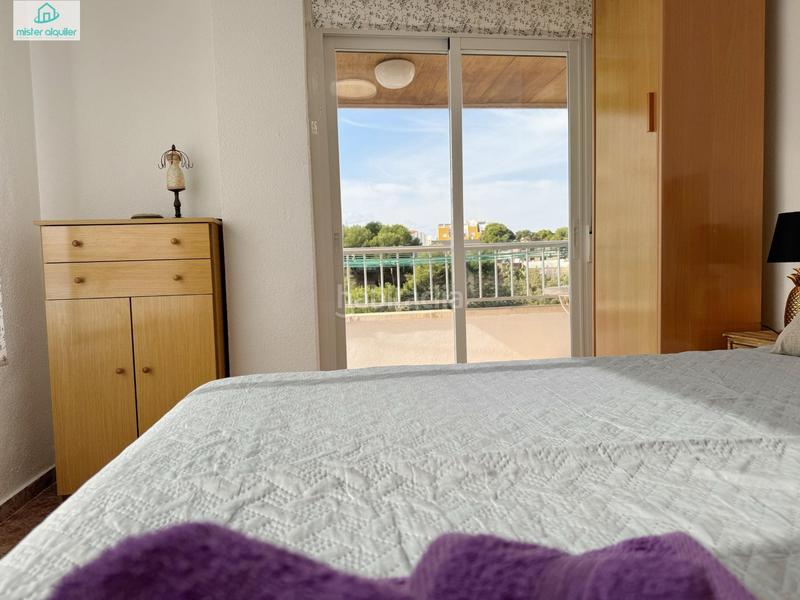 Foto 8d34c8c3-1ebe-447b-a298-f778d12f7085. Alquiler apartamento en sant bartolomeu 26 en Campello Playa Campello (el)