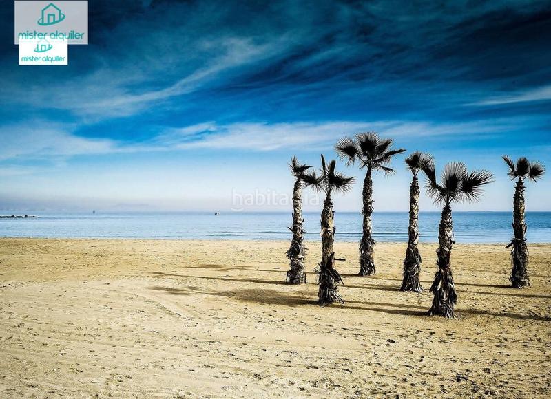 Foto 3212753d-f8da-48b7-aa9a-a0daa5922082. Alquiler apartamento en san pere 78 en Campello Playa Campello (el)