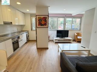 Location Appartement à Paises escandinavos 6
