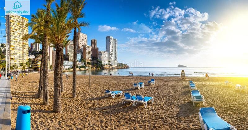 Foto 46521148-8089-4fbe-865e-a6a9fbfbcaea. Lloguer casa a camino fabraquer 124 a La Font-Mezquitas San Juan de Alicante