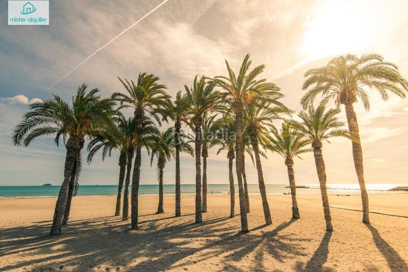 Foto 39c6c183-e79e-4d11-957c-2f1e6ebfda40. Rent house in camino fabraquer 124 in La Font-Mezquitas San Juan de Alicante