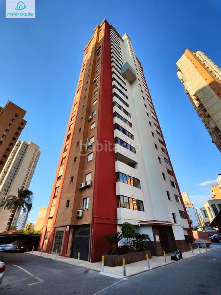 Foto 57397c6d-70b1-438f-ad15-c97a17cd92b0. Alquiler apartamento en avenida belgica 5 en Juzgados - Plaza de Toros Benidorm
