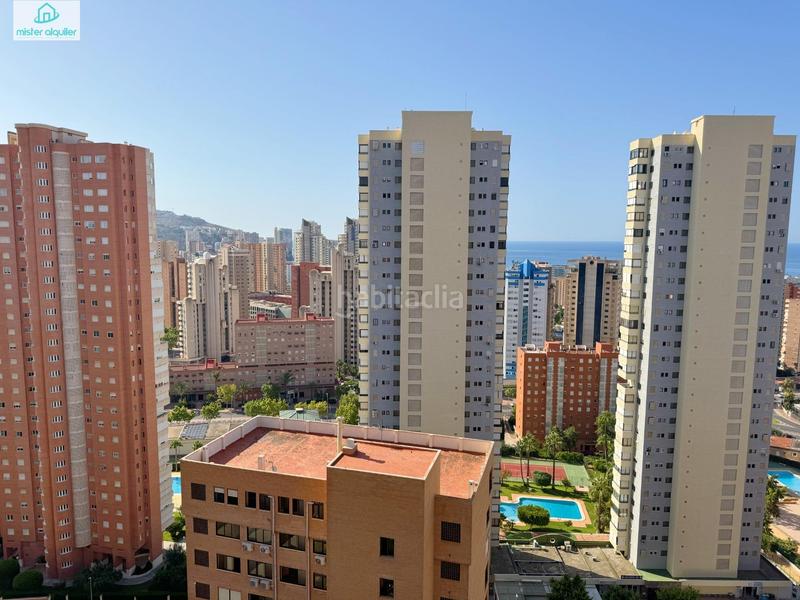 Foto 1d4b57a3-a7b4-464f-bd17-7ba24b04987b. Affitto piccolo appartamento in avenida belgica 5 in Benidorm
