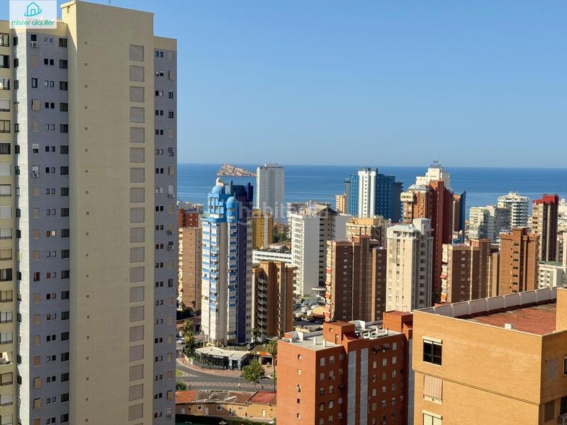 Foto 21b25d11-1598-445c-bcf6-7f302bb805e1. Affitto piccolo appartamento in avenida belgica 5 in Benidorm