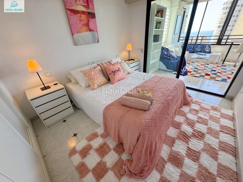 Foto 66329265-6d36-44c6-9d79-59bc91469f5e. Affitto piccolo appartamento in avenida belgica 5 in Benidorm