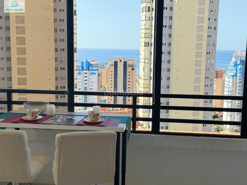 Foto 8209035d-f954-42f7-9721-a6cebe3519ea. Affitto piccolo appartamento in avenida belgica 5 in Benidorm