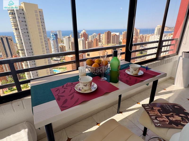 Foto 8a46cca9-cb7c-450a-98a5-6c23fecf4801. Affitto piccolo appartamento in avenida belgica 5 in Benidorm