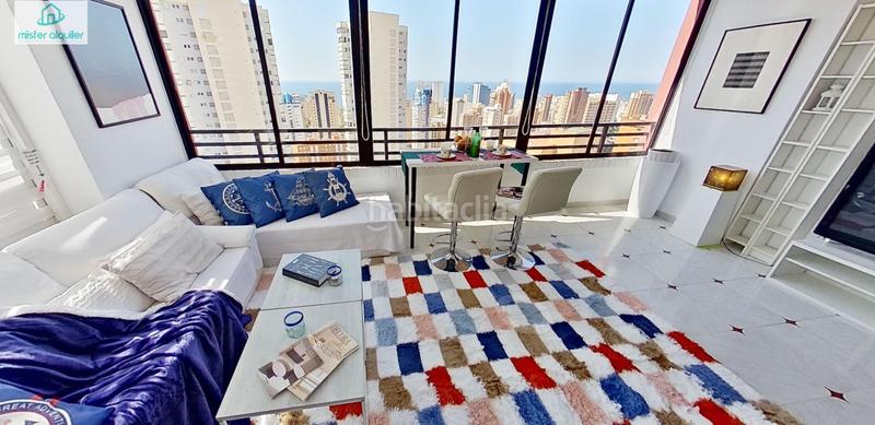 Foto b76153ae-4473-4d13-8e98-3cb6730827ea. Affitto piccolo appartamento in avenida belgica 5 in Benidorm