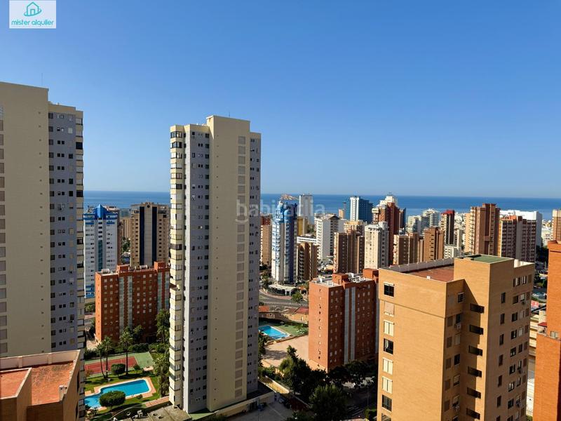 Foto c3f340e6-8499-4561-b562-bd33be93b17f. Affitto piccolo appartamento in avenida belgica 5 in Benidorm
