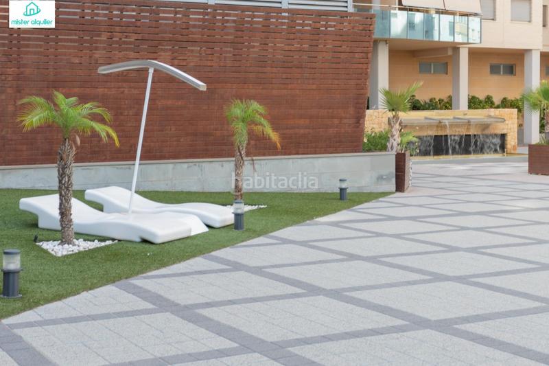 Foto 1467b5d2-a14d-4e5b-b8da-81fdc4bb669d. Alquiler apartamento en vicent blasco i ibañez de 1 en Campello (el)