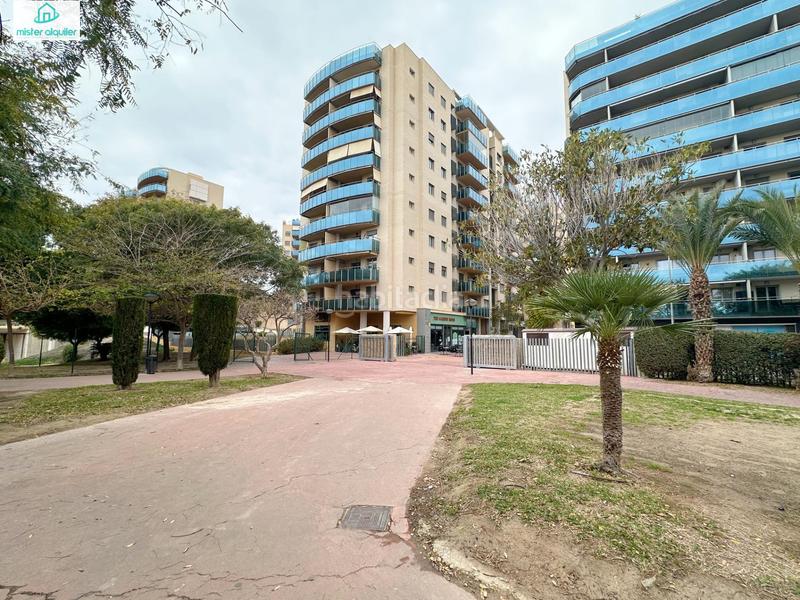 Foto 24cabb87-2c68-44e4-910e-249e120b0049. Alquiler apartamento en vicent blasco i ibañez de 1 en Campello (el)