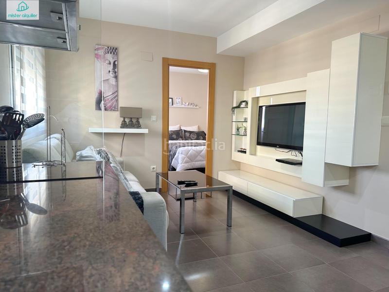 Foto 25c1e28b-e372-4a6d-80c3-11e15f9b6c7d. Alquiler apartamento en vicent blasco i ibañez de 1 en Campello (el)