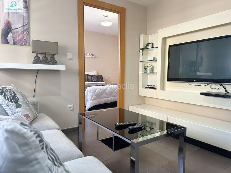 Foto 2bceb8be-695d-4410-9bda-4b6e8b7eefc4. Alquiler apartamento en vicent blasco i ibañez de 1 en Campello (el)