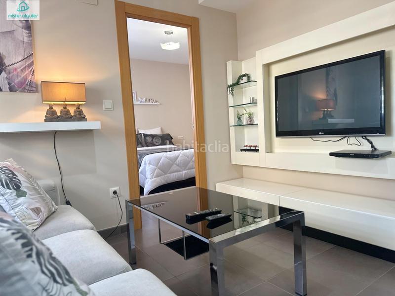 Foto 5e2967fc-45ae-4f43-8ee5-69aaff411b21. Alquiler apartamento en vicent blasco i ibañez de 1 en Campello (el)