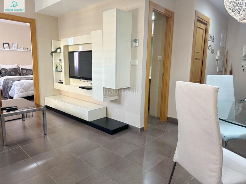 Foto 6fe93436-3363-485e-a6a4-1b98e6f1f055. Alquiler apartamento en vicent blasco i ibañez de 1 en Campello (el)