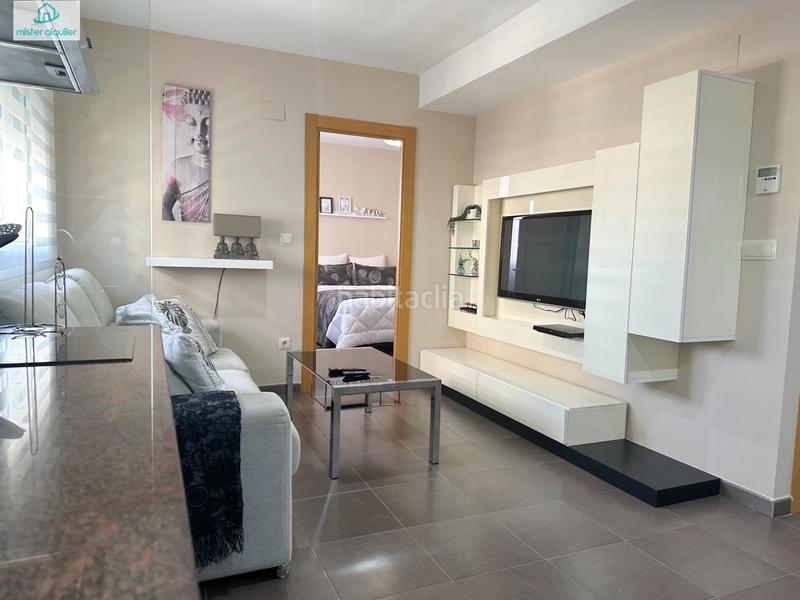 Foto 89e1431e-217d-40d5-8159-7f68d130aa01. Alquiler apartamento en vicent blasco i ibañez de 1 en Campello (el)