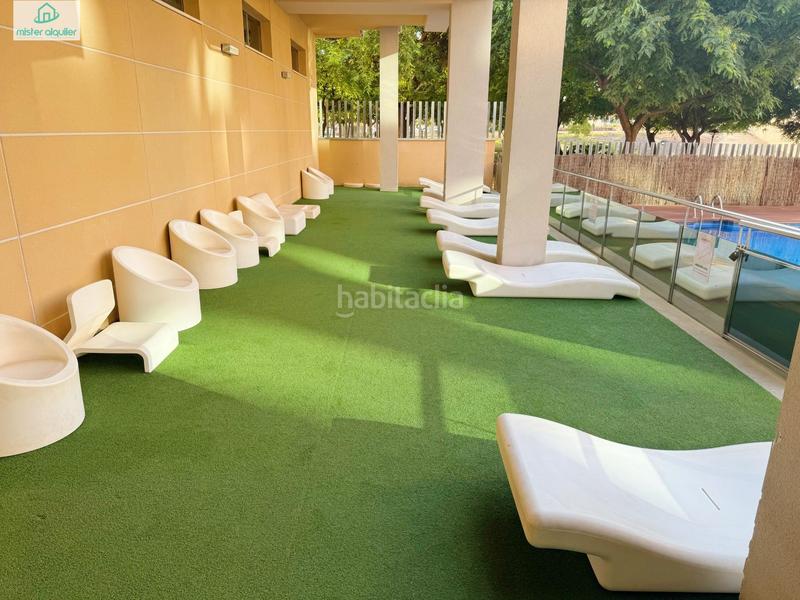 Foto accd4e91-db53-4f36-a21d-2468d1323cf5. Alquiler apartamento en vicent blasco i ibañez de 1 en Campello (el)