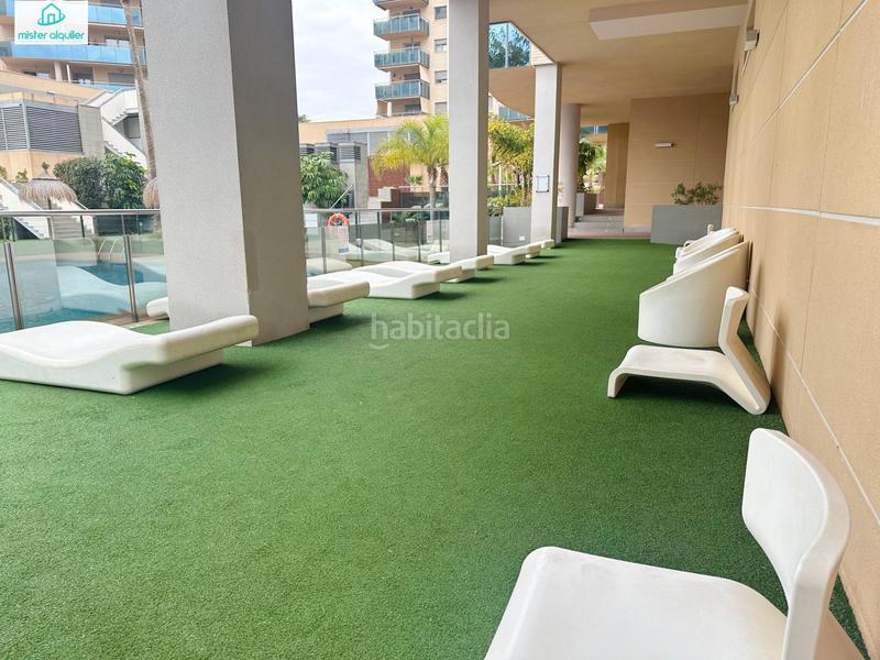 Foto bef7fc11-f1c9-4200-ab2d-6ccde32d00bd. Alquiler apartamento en vicent blasco i ibañez de 1 en Campello (el)