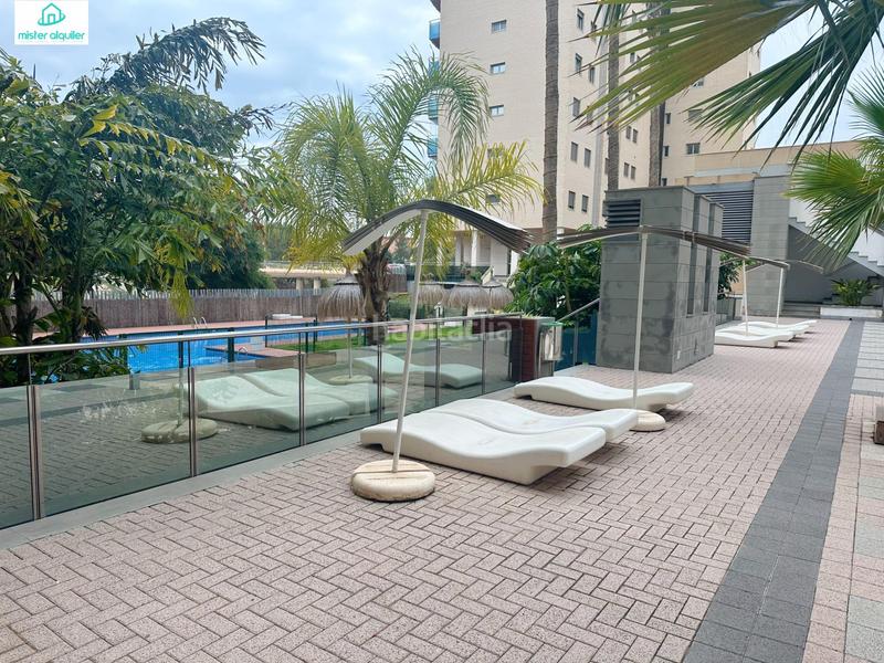 Foto c030d012-5381-4995-8f15-7431b1a0a756. Alquiler apartamento en vicent blasco i ibañez de 1 en Campello (el)