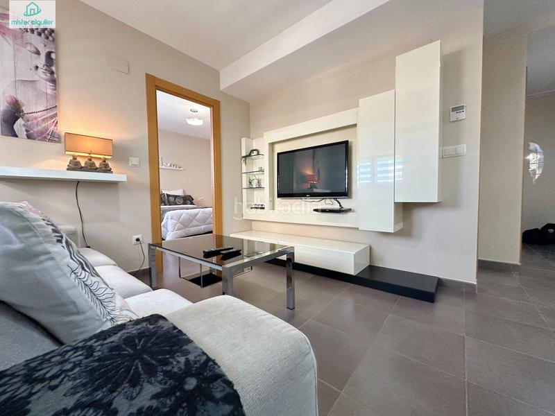Foto d48193da-7143-4424-89a9-73b1244f4ccf. Alquiler apartamento en vicent blasco i ibañez de 1 en Campello (el)