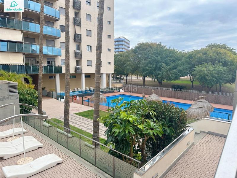 Foto d8a44f23-341a-495a-8b82-9fe1d8a32bea. Alquiler apartamento en vicent blasco i ibañez de 1 en Campello (el)
