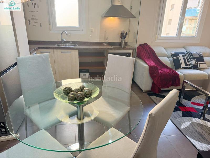 Foto db2b7e0f-6487-443a-ae1e-3b3362dda7bd. Alquiler apartamento en vicent blasco i ibañez de 1 en Campello (el)