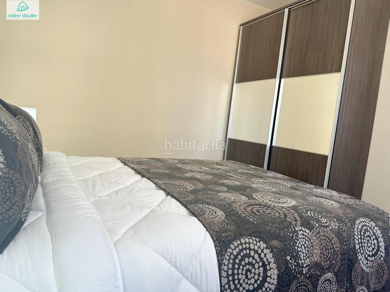 Foto f1314c1d-0838-4a13-8931-a7e56543c96b. Alquiler apartamento en vicent blasco i ibañez de 1 en Campello (el)