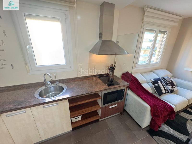 Foto f7187449-b09e-4b83-b089-c8896e0016c7. Alquiler apartamento en vicent blasco i ibañez de 1 en Campello (el)