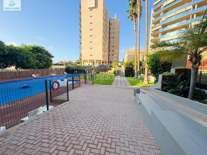 Foto f90e259d-8f84-49ed-a479-34dcda51a1e8. Alquiler apartamento en vicent blasco i ibañez de 1 en Campello (el)