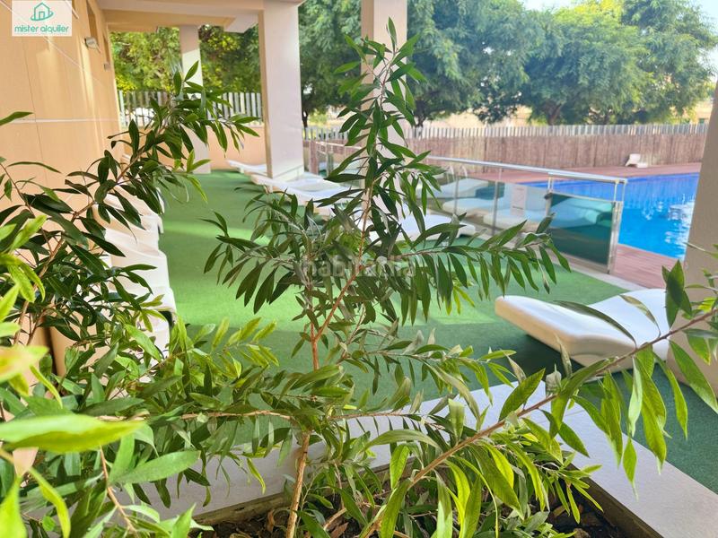 Foto ff930fc3-7705-4898-a650-7cd527e63839. Location appartement dans vicent blasco i ibañez de 1 dans Campello (el)