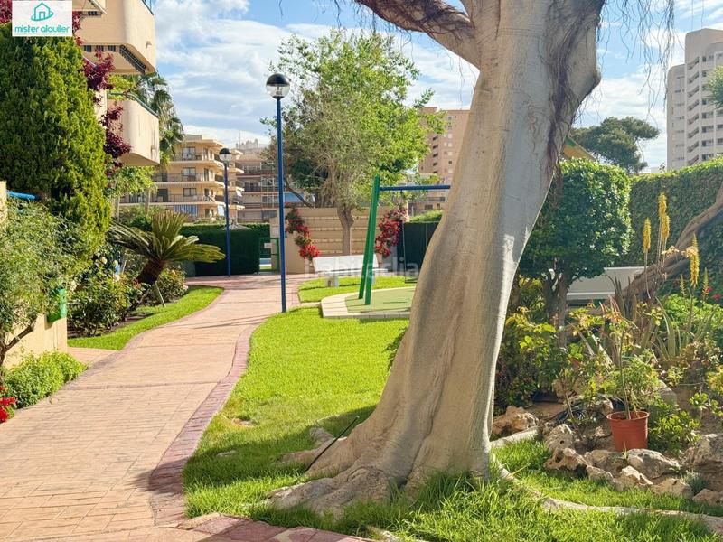 Foto 366964e9-6fe6-4432-b1c0-d061fb0e1203. Alquiler apartamento en calle magraner en Playa Muchavista Campello (el)