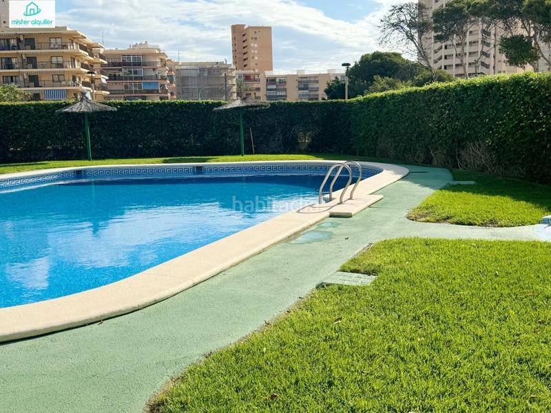 Foto 78a5abdd-6a40-43f1-baa6-89daa82654a8. Alquiler apartamento en calle magraner en Playa Muchavista Campello (el)