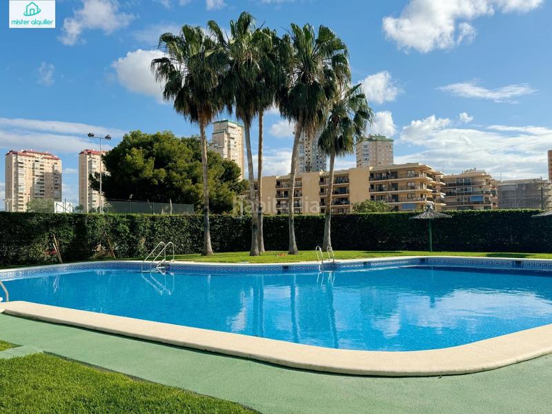 Foto 7e3282fe-a518-45a7-a55e-33dc0f5453a5. Alquiler apartamento en calle magraner en Playa Muchavista Campello (el)